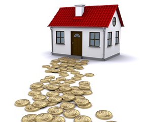 home improvement program