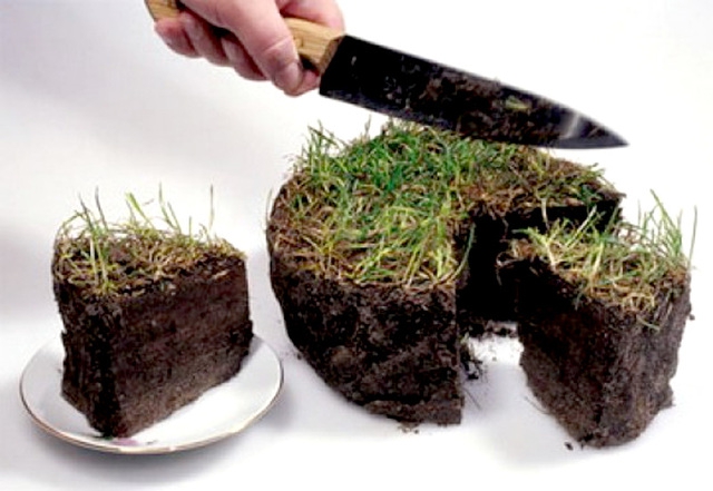 take land for a long time how to rent a land