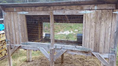 rabbit breeding at home for beginners