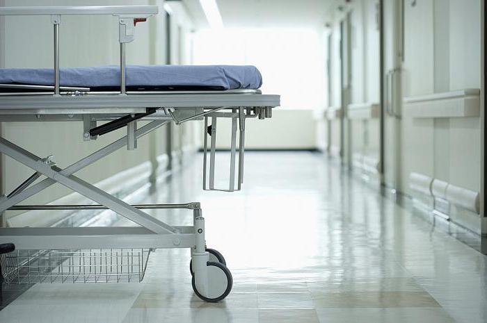 documents for checking ses