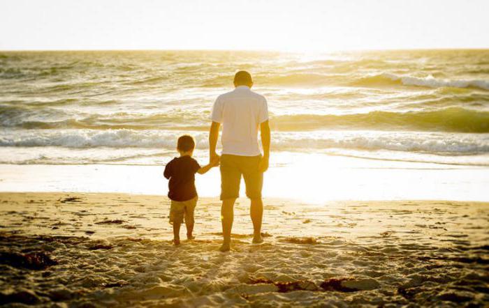 court decision abolition of restriction of parental rights