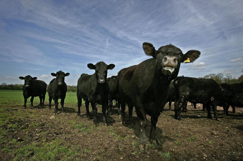 Federal Law on personal subsidiary plots