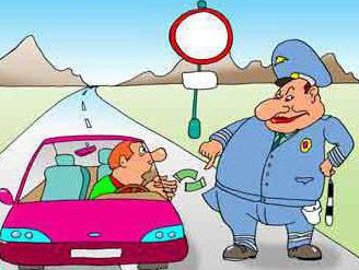 what does the security officer