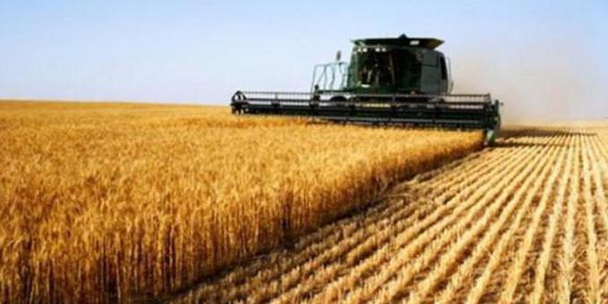 production cooperative responsibility