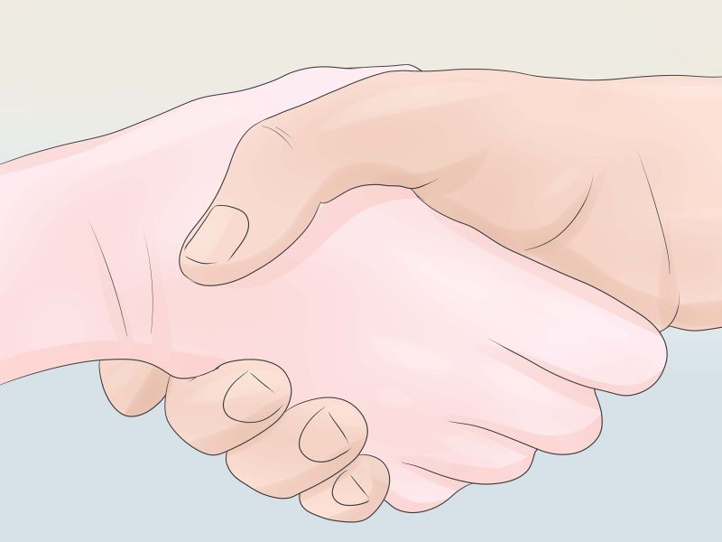 Where to start a novice lawyer