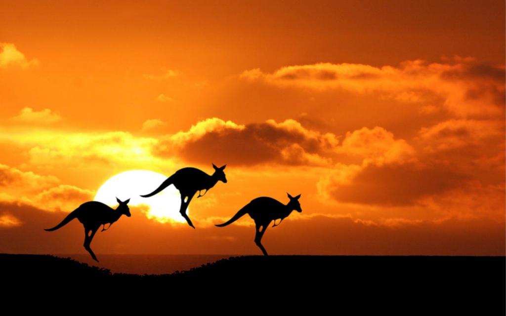 Kangaroo - Australia Landmark