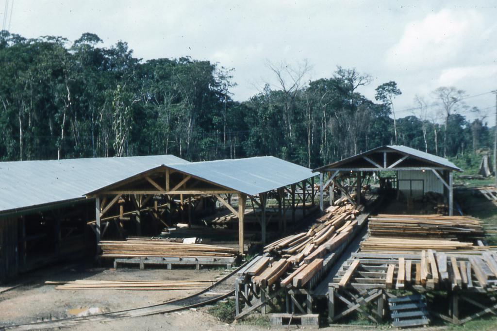 Sawmill Production