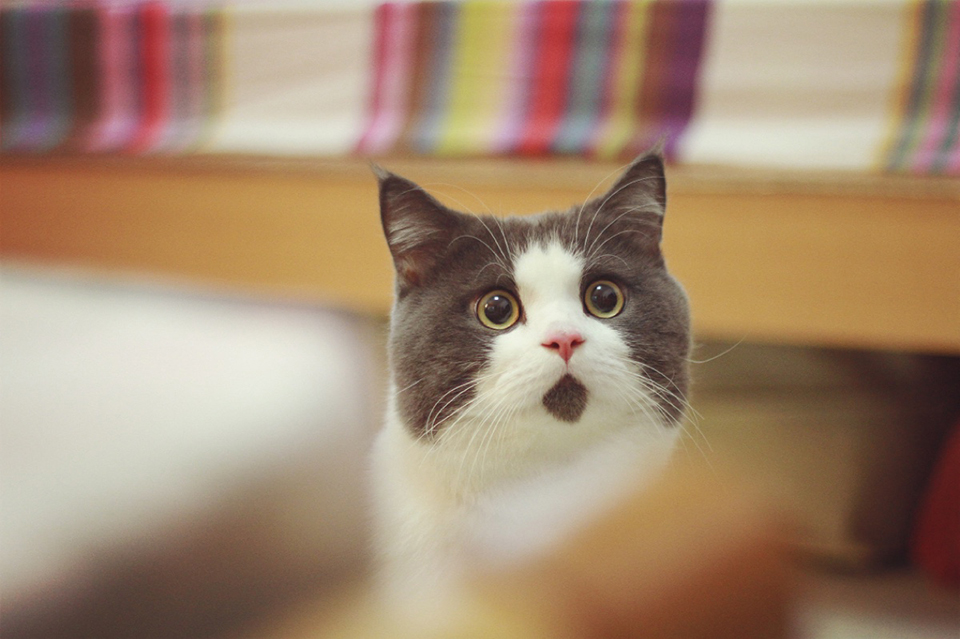 It’s all for a reason