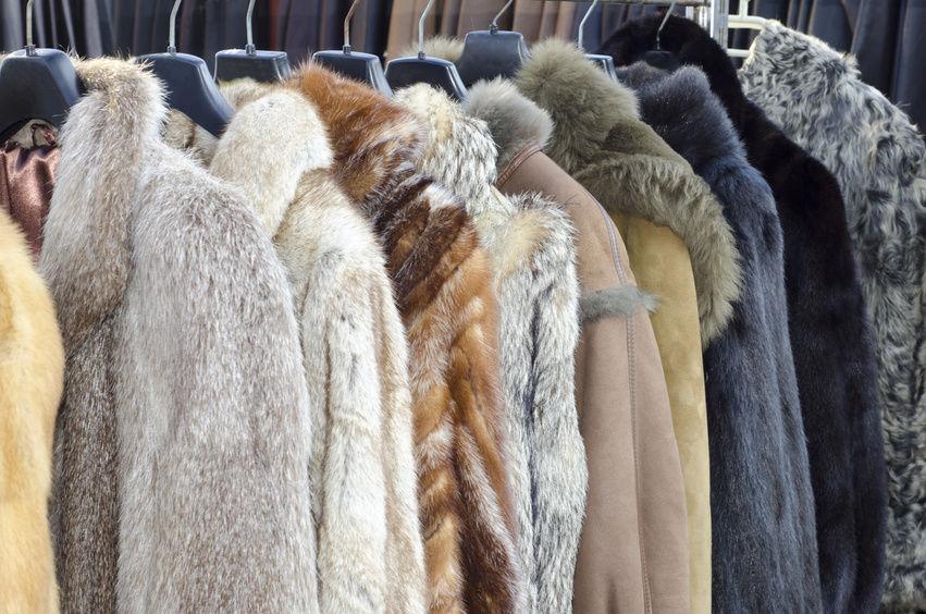 Labeling of Fur Products