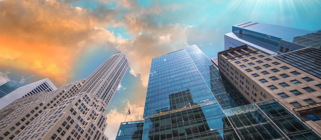 autonomous non-profit organization