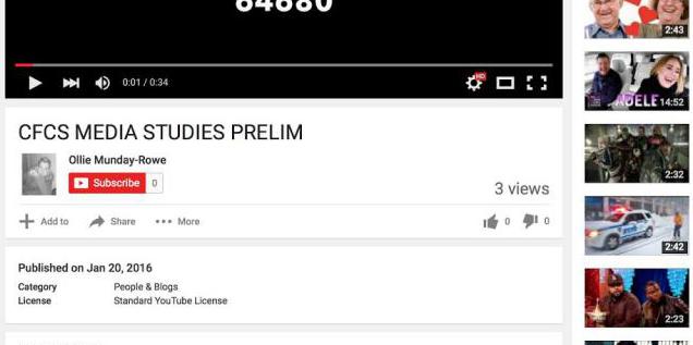 Youtube Standard License