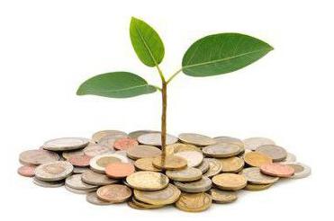 authorized share capital