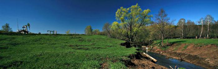  municipal environmental control