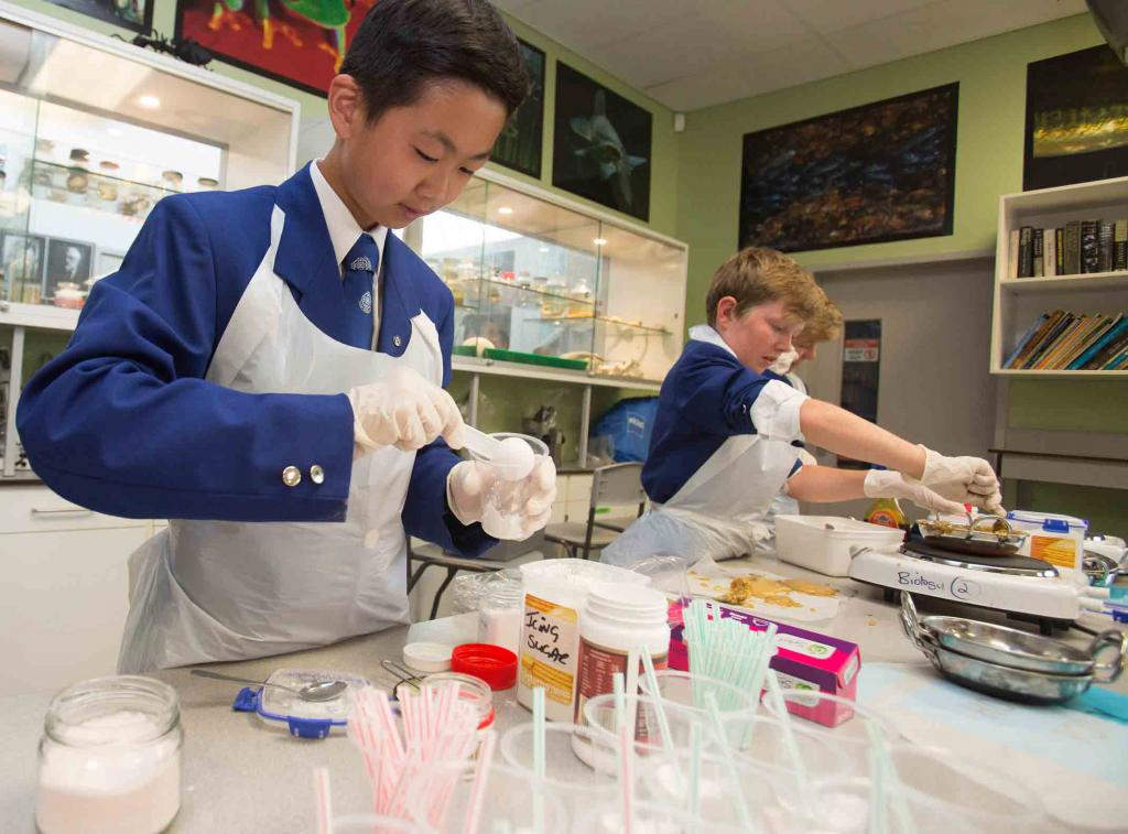 Possible student activities