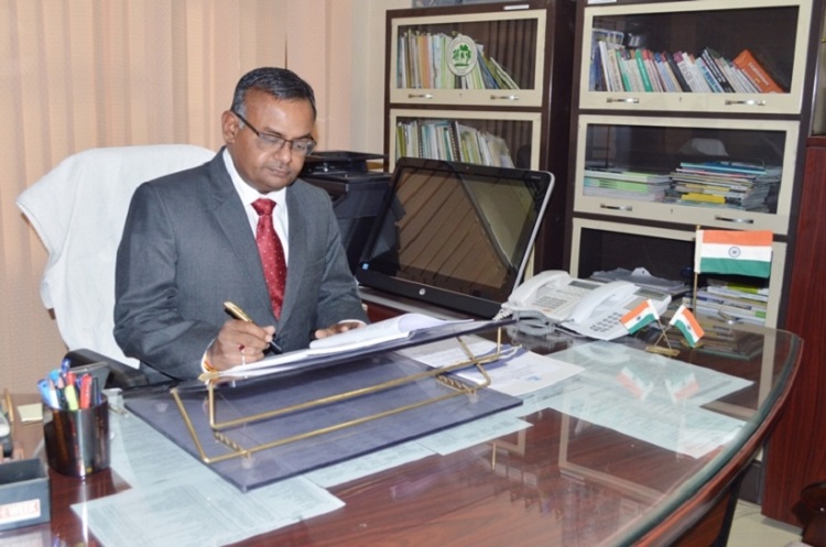 Director decides how to pay